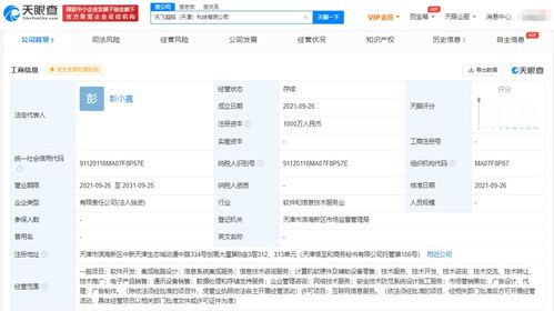 科大訊飛布局新賽道 成立超腦科技公司，深化信息系統集成服務